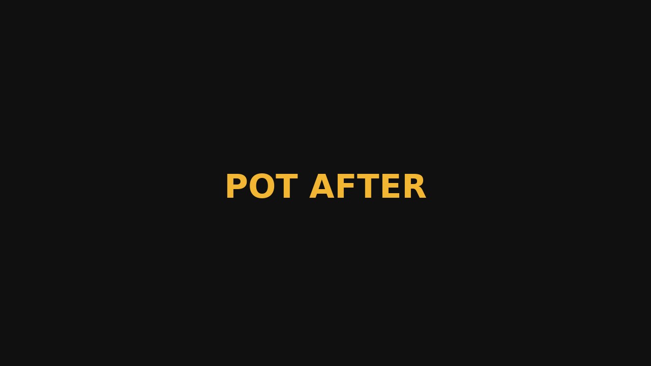 Pot Lights - After